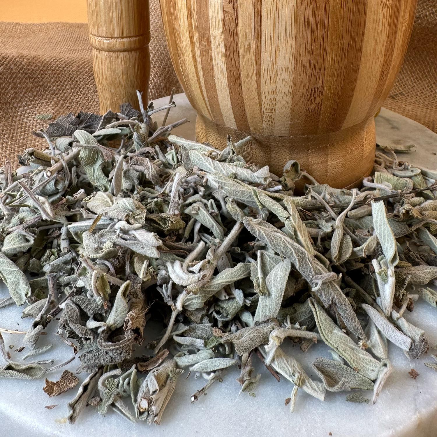 Uç Yaprak Adaçayı - 2